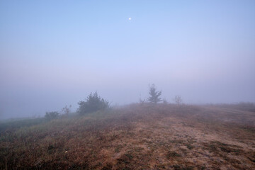 Foggy dawn on the field.