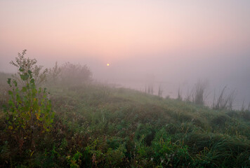 Foggy dawn on the field at the lake.