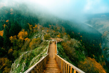 The view as you descend the Valla Canyon stairs through the morning mist. Along with the autumn...