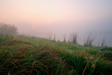 Foggy dawn on the field near the lake.