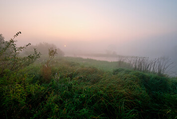 oggy dawn on the field near the lake.