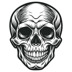 Fototapeta premium Black and white human skull vector illustration