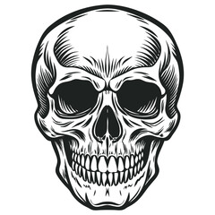 Obraz premium Black and white human skull vector illustration
