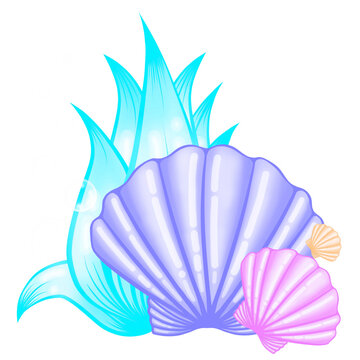 illustration of a seashell, illustration of shells and seaweed, colorful seashell and seaweed On white, sea element, sea accessories, sea colorful sticker, oyster, Shell, seashell, png, art, sea, icon
