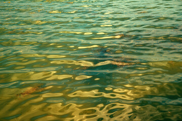 Lake Doiran water surface as abstract natural background