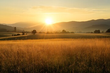 Fototapeta premium Golden sunrise over grassy field and mountain landscape