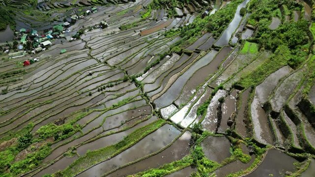 Aerial view of picturesque Batad Rice Terraces with sun reflection in Ifugao Province, Luzon Island, Philippines, 4k