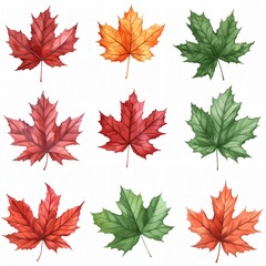 Nine autumn maple leaves in various colors, isolated on white.