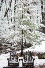 snow covered chairs and tree
