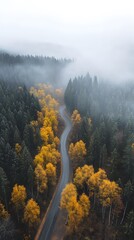 Fototapeta premium Aerial view of an autumn forest with fog and a winding road