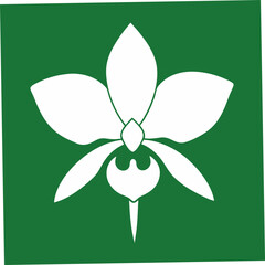 This digital product showcases a stunning vector illustration of the Gold of Kinabalu Orchid flower, capturing its exotic beauty and intricate details, perfect for nature-themed or floral designs