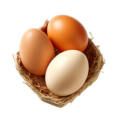 Three fresh eggs nestled in a cozy nest on a transparent background