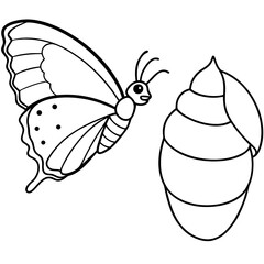 Minimalist Butterfly Emergence Line Art Transformation Vector