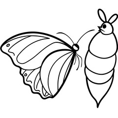 Minimalist Butterfly Emergence Line Art Transformation Vector