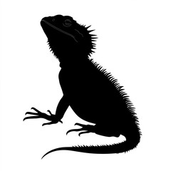 Obraz premium Bearded Dragon Silhouette, Illustration Isolated On White Background