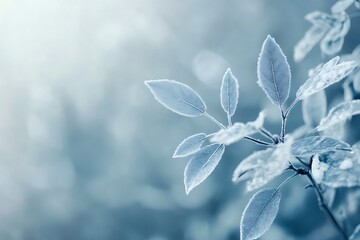 Frost covered leaves in a wintery landscape with soft sunlight