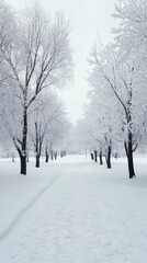 A serene winter landscape with snow-covered trees lining a peaceful pathway in a quiet park