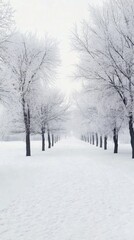 Fototapeta premium A serene winter landscape with snow-covered trees lining a peaceful pathway in a quiet park