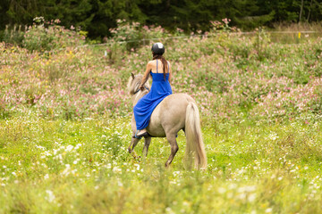 Lady in blue dress riding on Icelandic horse in tall hay. Rider is wearing helmet.