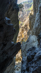 Deepest narrow stone canyon Saklikent in national park in Mugla Province in southwestern Turkey. Wild natural beauty. Vertical image
