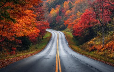 Fototapeta premium Road in forest. Autun road