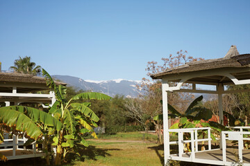 Gazebos with mountain and banana plants