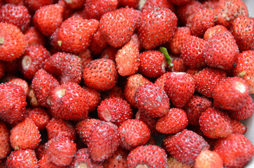 Wild strawberries background. Closeup of heap of ripe wild strawberries