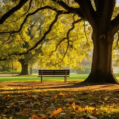 A quiet park bench under a large oak tree, surrounded by golden autumn leaves. Sunlight filters through the branches, creating a peaceful and reflective atmosphere.