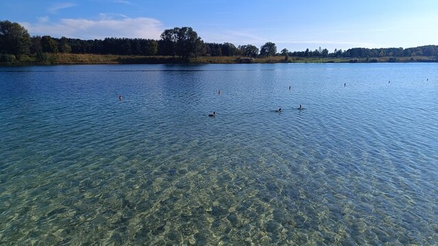 lake in the park