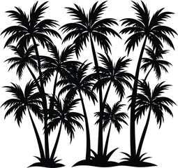 palm tree silhouette
