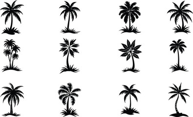 palm tree silhouettes