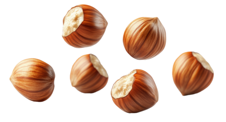 Falling hazelnut, full body, on a transparent background