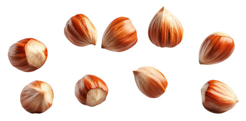 Falling hazelnut, on a transparent background