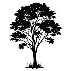 Obraz premium a black and white silhouette of a tree. The tree is tall and slender with a thick trunk and multiple branches. The branches are covered in small leaves, 