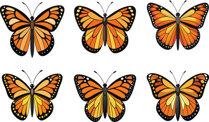 collection of butterflies