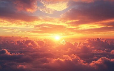 Fototapeta premium Sunset on the field beautiful background