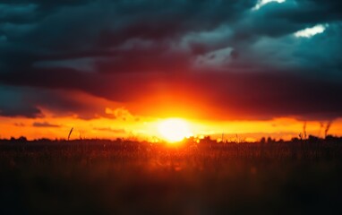 Fototapeta premium Sunset on the field beautiful background