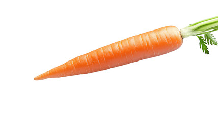 carrot isolated on white