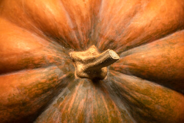 Close up top view of pumpkin