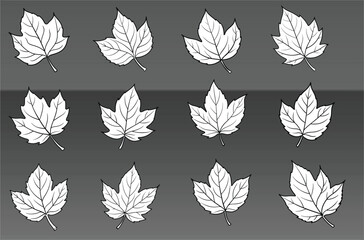 seamless pattern with black and white leaves