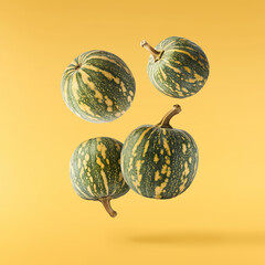 Fresh pumkin falling in the air isolated on yellow background