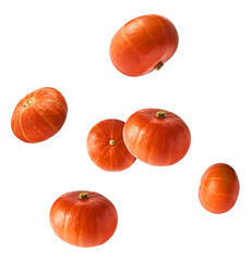 Fresh pumkin falling in the air isolated on white backgroun