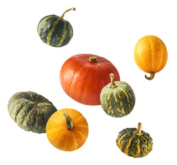 Fresh pumkin falling in the air isolated on white backgroun