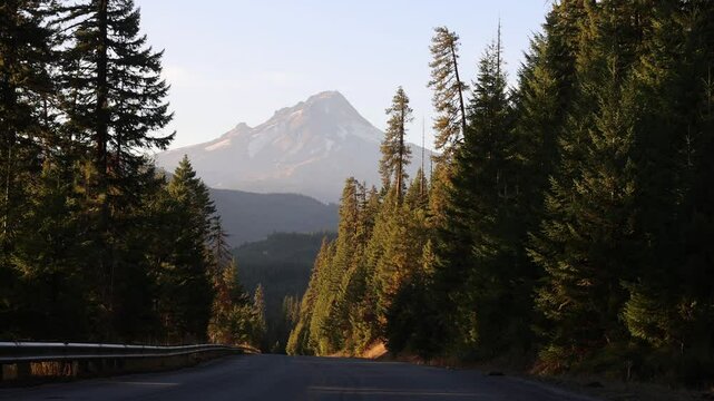 Mount Hood In The Sunshine