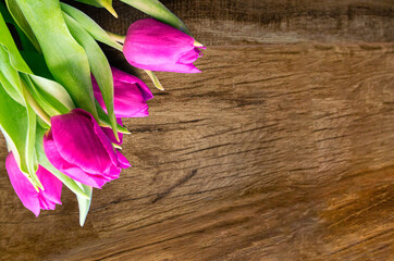 Bouquet of beautiful tulips on wooden background. Tulips on old boards