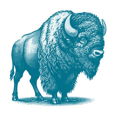bison vector illustration © CROP MEDIA