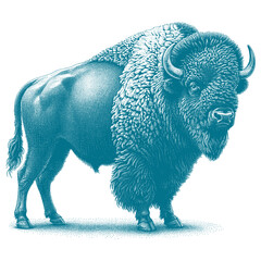 bison vector illustration