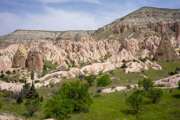 Fototapeta premium Panoramic view of Cappadocia’s stunning rock formations and lush greenery in the foreground. The scene showcases Türkiye’s unique blend of geological wonder and natural beauty.