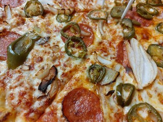 Hot Italian Pizza, Ham Pizza with Green Jalapeno Pepper and Onion, Chili Pepper and Mozzarella Cheese