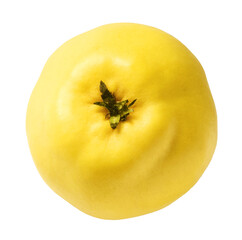 Fresh ripe yellow Quince fruit  falling in the air isolated on white background. Food levitation or...